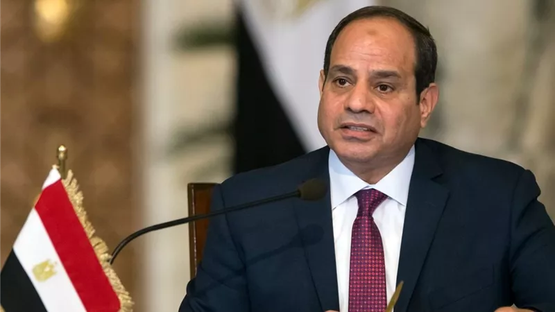 الرئيس السيسي يُصدق على قانوني تنظيم مياه الشرب وشئون المهن الطبية