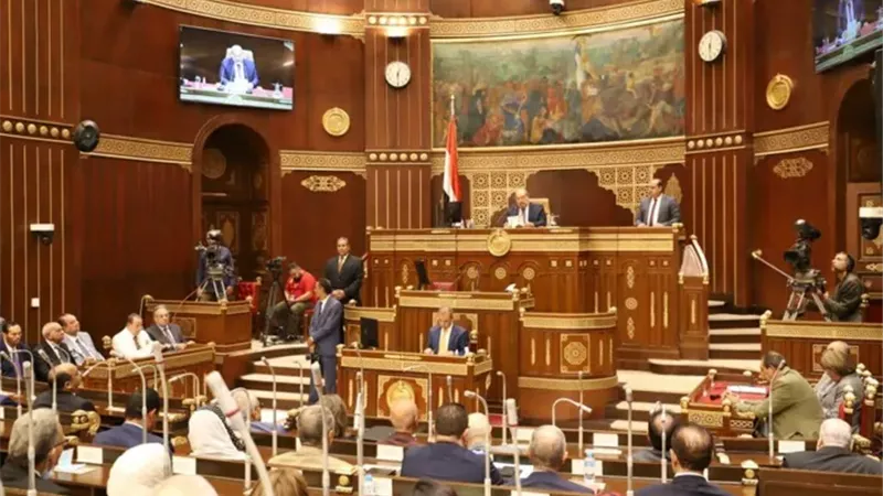 مجلس الشيوخ 