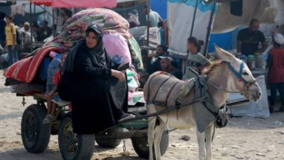 في ظل الحصار والدمار.. الحمار وسيلة النجاة الأخيرة في قطاع غزة
