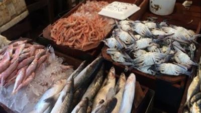 تفاوت أسعار الأسماك والجمبري والكابوريا في الأسواق اليوم 4-7-2025