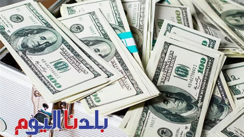 الورقة الخضرا في النازل.. سعر الدولار اليوم الأربعاء 2-7-2025 في البنوك