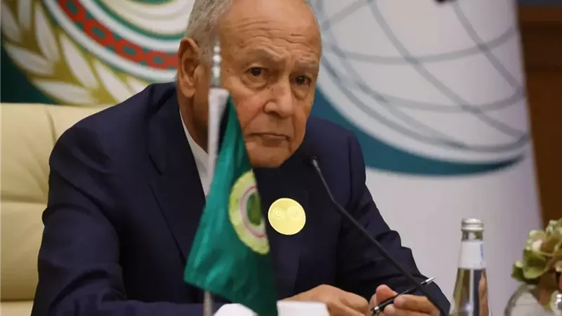 أحمد أبو الغيط 