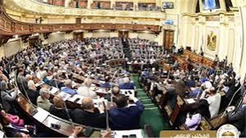 تعرف على تقسيم الدوائر ودور الأعضاء في انتخابات مجلس الشيوخ 2025