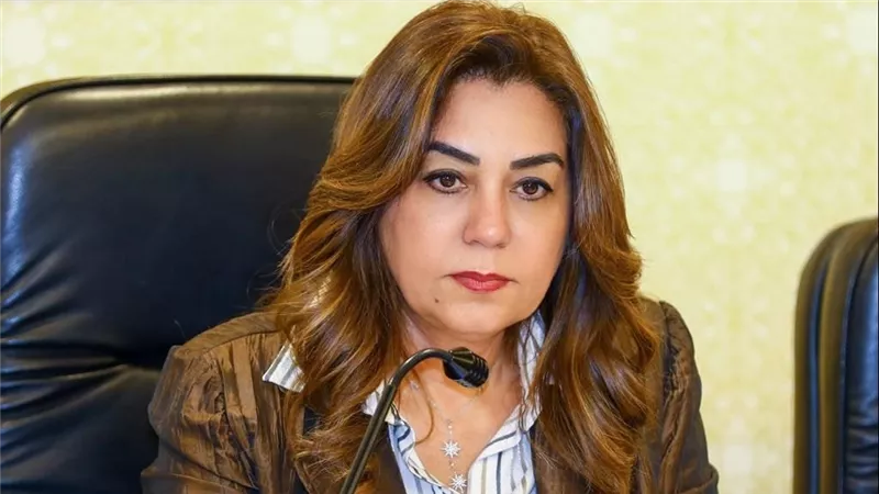 وزيرة التنمية المحلية تبحث مع محافظ القليوبية جهود ضبط الأسواق وتنفيذ المشروعات التنموية