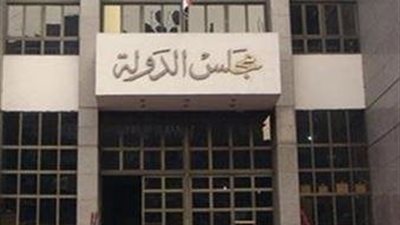 الإدارية العليا تفصل في الطعون الانتخابية ما بين الإحالة والرفض 