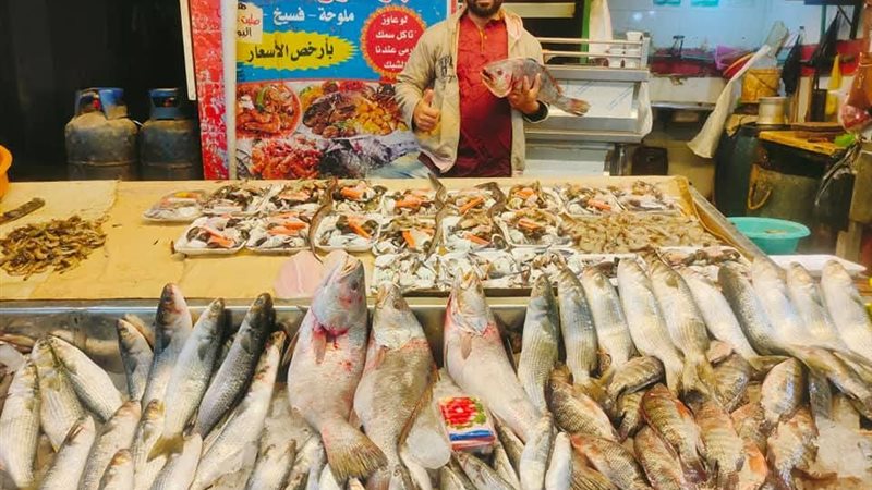 اسعار الاسماك اليوم