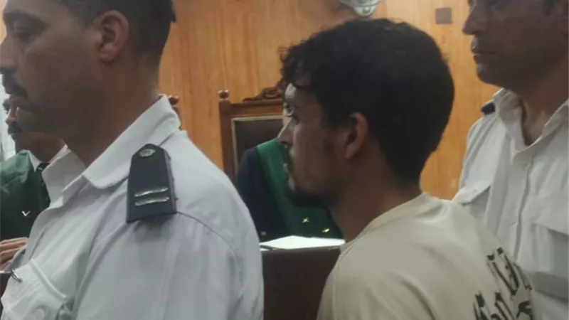 المشدد 15 عاما لسائق سيارة حادث إقليمي المنوفية و5 سنوات لمالكها