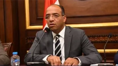 النائب علي مهران: توجيهات الرئيس تدفع بمنظومة الأمن الغذائي للأمام