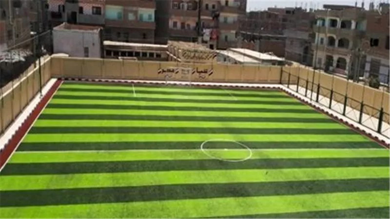 «حياة كريمة» تغيّر وجه الريف بالمنوفية.. قرى تتجدد وأحلام تتحقق