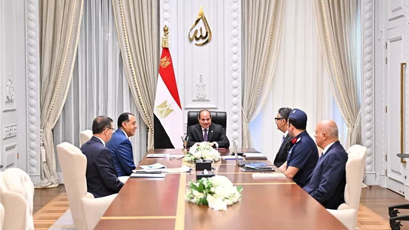 الرئيس السيسي يشدد على ضرورة تحسين السلالات المحلية لزيادة إنتاجيتها من اللحوم والألبان