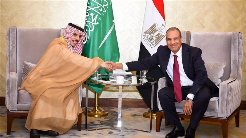 وزير الخارجية يؤكد رفض مصر الكامل لأي محاولات للمساس بالعلاقات المصرية السعودية
