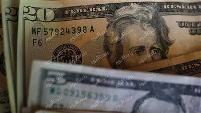 الأخضر ثابت في البنوك.. سعر صرف الأخضر اليوم الإثنين 21 يوليو 2025