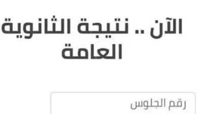 رابط مباشر للاستعلام عن نتيجة الثانوية العامة 2025.. برقم الجلوس اعرف النتيجة