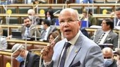 النائب سيد شمس الدين: مصر هي الداعم الأساسي لغزة (خاص)