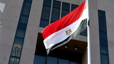 مصر ترفض الادعاءات المغرضة: دعمنا لفلسطين ثابت ومساعينا لرفع المعاناة عن غزة مستمرة