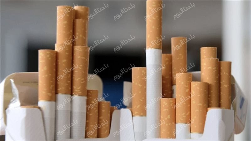 السجائر 