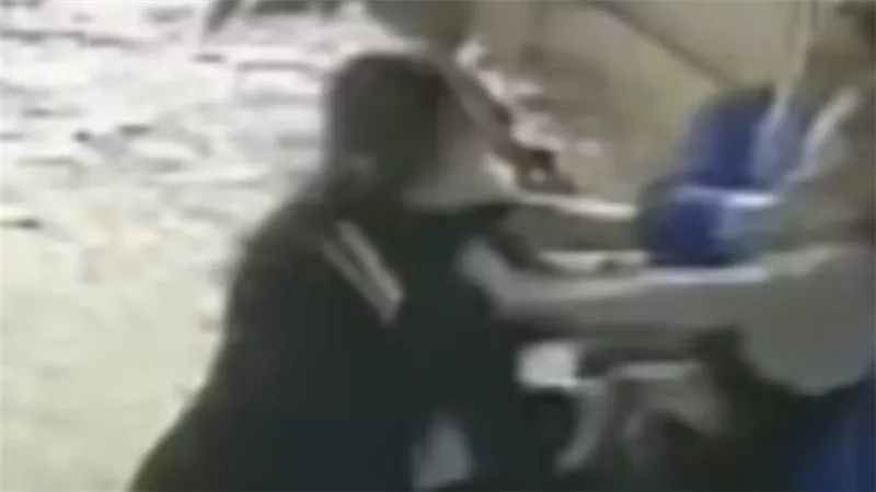 تفاصيل مشاجرة بالأسلحة بين الجيران بمنطقة بيجام في شبرا الخيمة 
