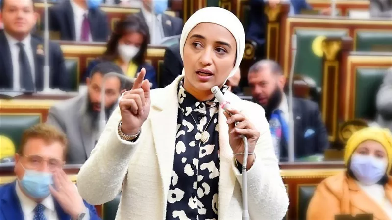 النائبة أميرة أبو شقة: يقظة الأمن تؤكد أن الإرهاب لن ينال من مصر