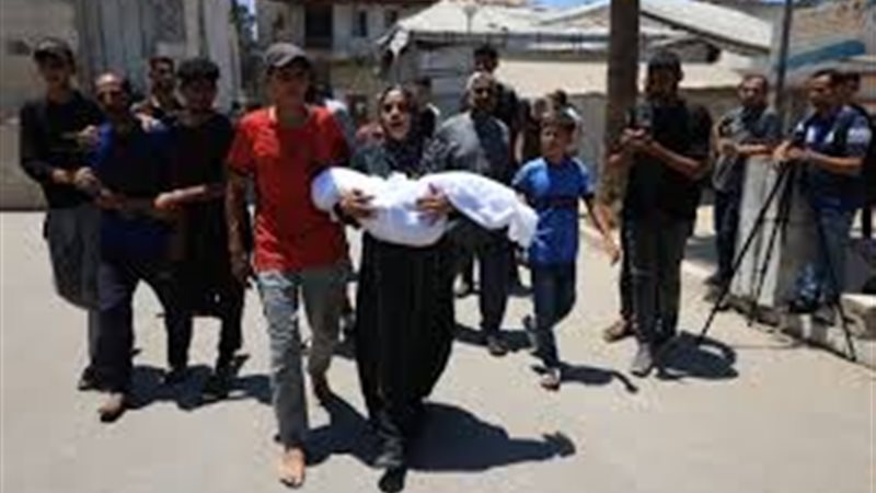 غزة 