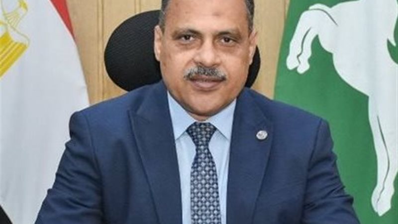 محافظ الشرقية