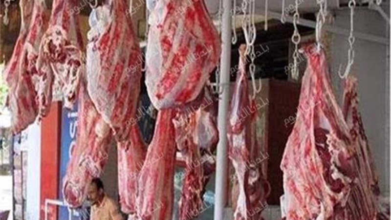 اللحوم الحمراء 