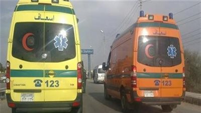 إصابة 4 أشخاص إثر تصادم سيارة مع تروسيكل في نجع حمادي بقنا 