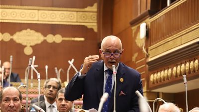 النائب حازم الجندى: مصر تخوض معركة دبلوماسية دفاعا عن حقوق الفلسطينيين