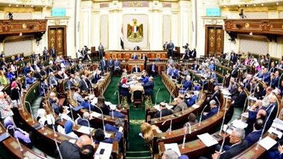 غداًالنواب.. يعقد جلسة طارئة بشأن قانون الإجراءات الجنائية