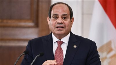 الرئيس السيسي: التاريخ سيحاكم دولا كثيرة على موقفها تجاه غزة 