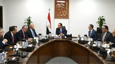 الحكومة تعلن تسهيلات غير مسبوقة لجذب شركات السيارات الكهربائية العالمية.. تفاصيل