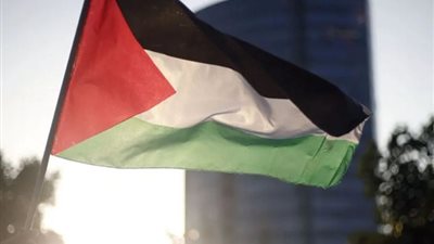 الخارجية الفرنسية: 15 دولة غربية تدعو للاعتراف بدولة فلسطين.. وتزايد الدعوات لحل الدولتين