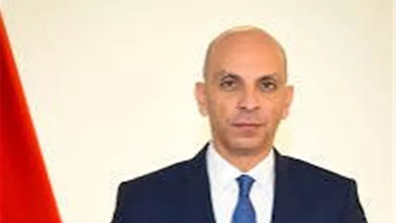 الخارجية: مصر نجحت في إدخال مايقرب من 70% من المساعدات لقطاع غزة 