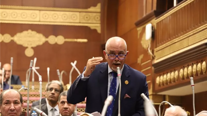 النائب حازم الجندى: مصر تخوض معركة دبلوماسية دفاعا عن حقوق الفلسطينيين