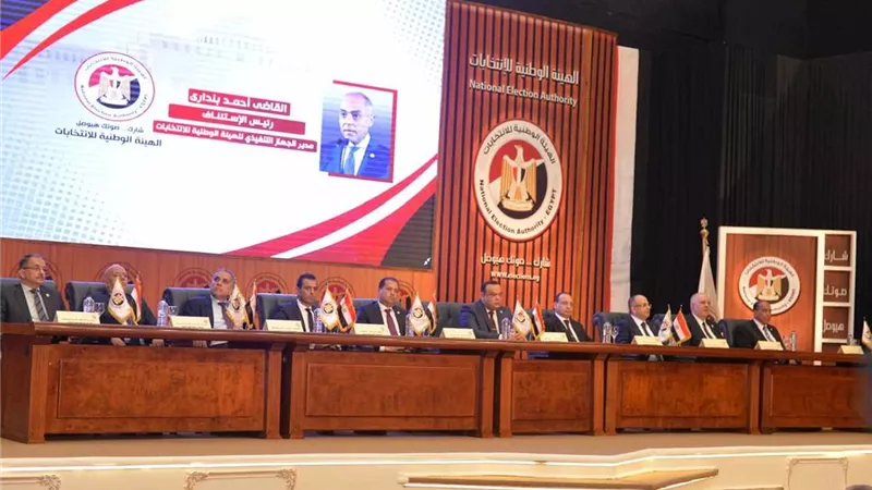 طريقة تصويت المصريين بالخارج في انتخابات مجلس الشيوخ 2025 خطوة بخطوة