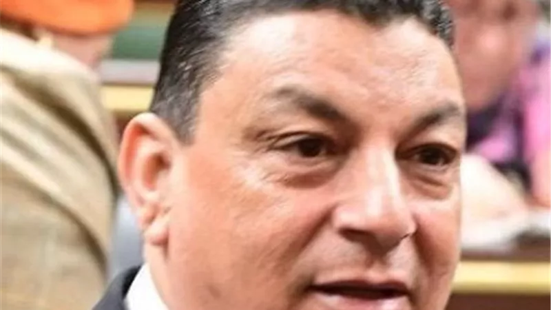 برلماني: خطاب الرئيس السيسي يجسد الموقف المصري الثابت تجاه القضية الفلسطينية