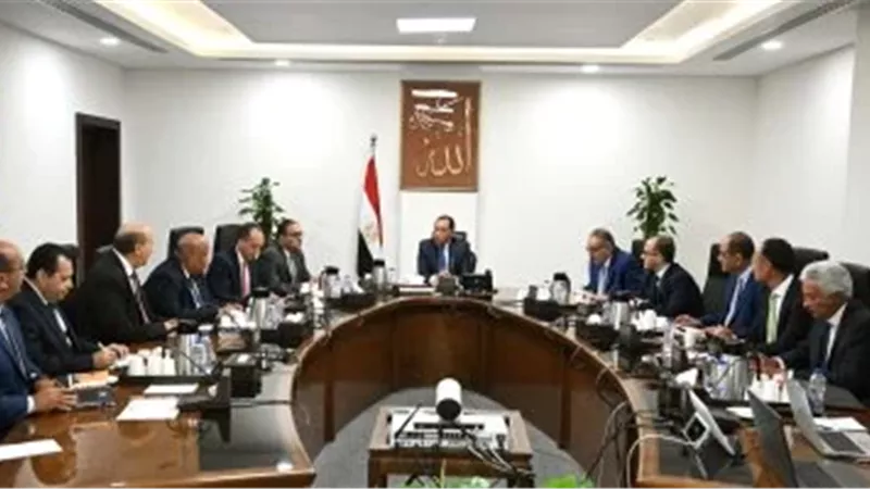 الدكتور مصطفى مدبولى