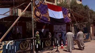 سما المصري تشارك في آخر يوم انتخابات مجلس الشيوخ 2025.. كيف ظهرت؟