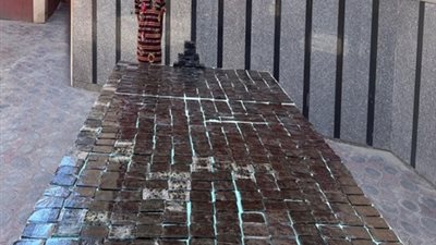 الأمن يداهم بؤر إجرامية بالمحافظات.. ويضبط مخدرات وأسلحة بـ41 مليون جنيه (صور)