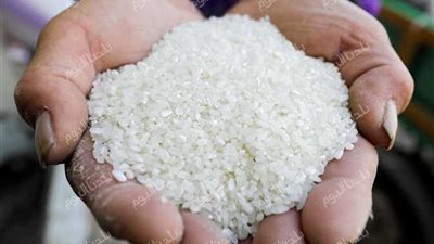 طن الأرز يثبت مكانه.. سعر الأرز اليوم الأربعاء 6 أغسطس 2025