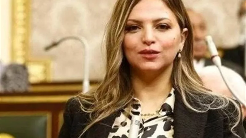 النائبة مي رشدي تدعو لحظر تيك توك بمصر.. وتؤكد: يهدد ثوابت المجتمع