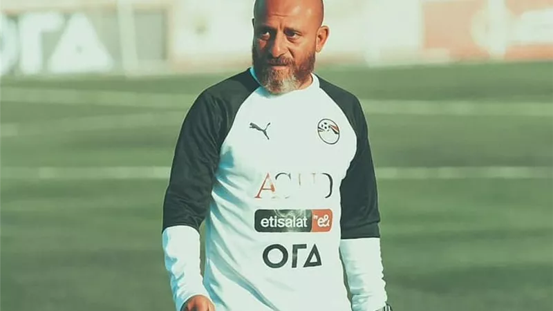وائل رياض 