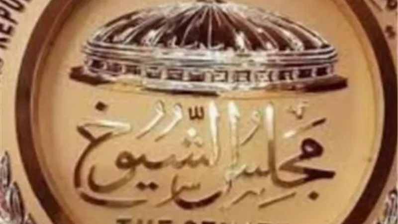 المستشار أحمد بنداري: نسبة المشاركة تعكس التزام المواطن المصري، وقدرة الدولة على تنفيذ الاستحقاقات