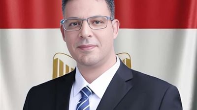 أمين خارجية حزب المصريين: الجاليات المصرية في أوروبا أثبتوا وعيهم بوقفات سلمية