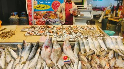 البلطي بكام.. أسعار الأسماك والجمبري اليوم الأربعاء 13 أغسطس 2025