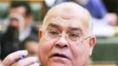 ناجى الشهابي: مصر كسرت القيود وصنعت قرارها المستقل