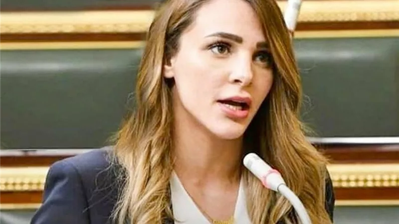 برلمانية عن استهداف صحفيين فلسطينيين: رحلوا حاملين الكاميرا والقلم وتركوا لنا أمانة كبيرة 