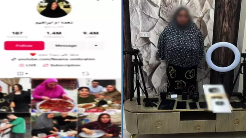 ضبط صانعة محتوى بالبحيرة نشرت مقاطع خادشة للحياء لتحقيق أرباح من المشاهدات