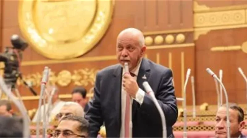 النائب المهندس حازم