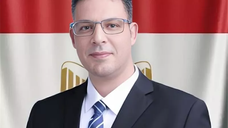 أمين خارجية حزب المصريين: الجاليات المصرية في أوروبا أثبتوا وعيهم بوقفات سلمية