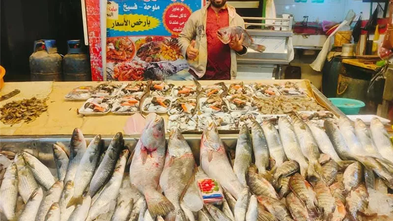 البلطي بكام.. أسعار الأسماك والجمبري اليوم الأربعاء 13 أغسطس 2025